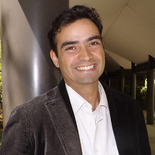 Professor Miguel Pais-Vieira